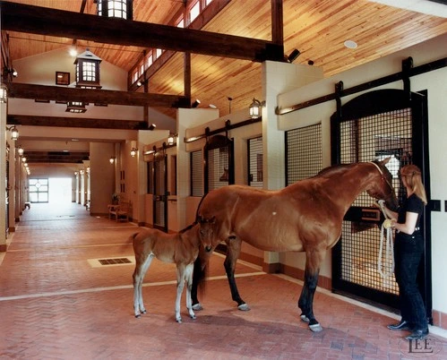 Mare and foal with handler standing in barn aisle beside mesh-fronted stalls