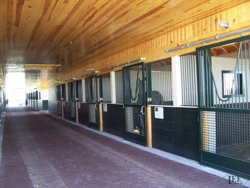 Green lower stalls with corrugated metal upper sections in timber-frame barn