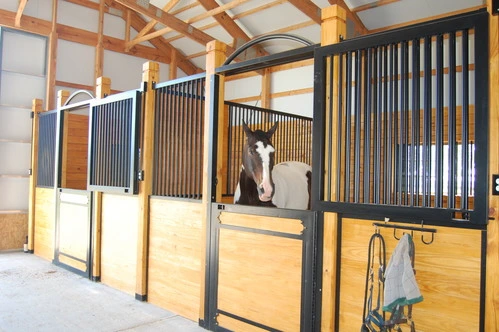 White horse looking over blue-trimmed stall door in timber-frame barn aisle
