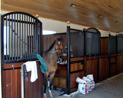Black metal arched stall front with chestnut horse extending head over mahogany lower panel
