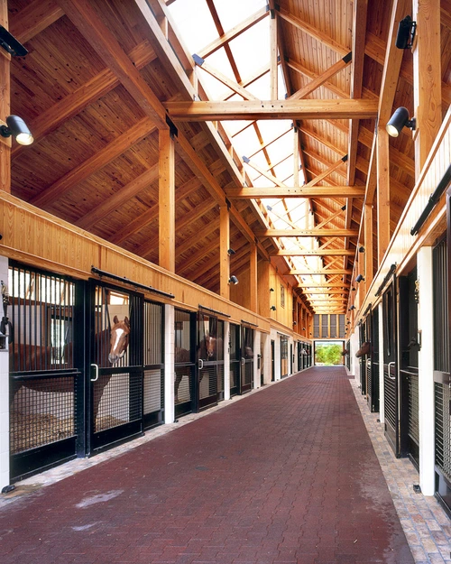 Barn aisle with black metal stall fronts, wire mesh doors and exposed timber ceiling