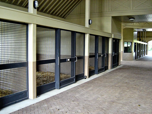 Black metal stall fronts with wire mesh panels in modern barn with sage green ceiling