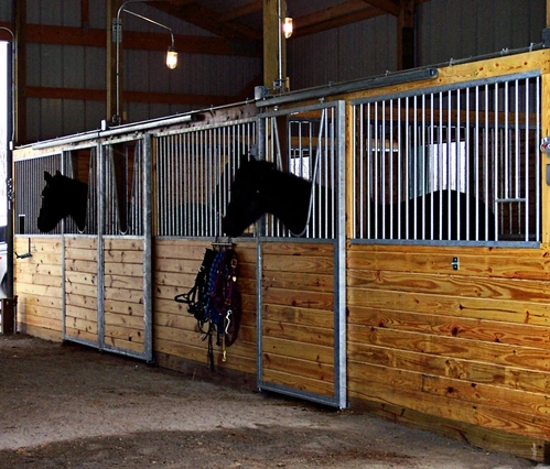 Galvanized corrugated metal stall fronts with natural wood lower panels and two black horses extending heads