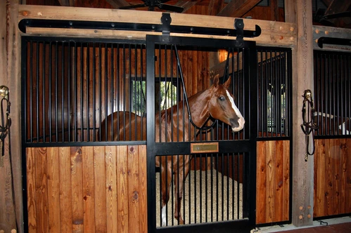 Black metal arched stall front with natural wood lower panel and chestnut horse in halter visible