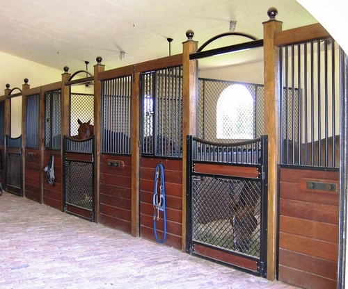 Mahogany stall fronts with wire mesh doors and panels, bay horse visible in center stall