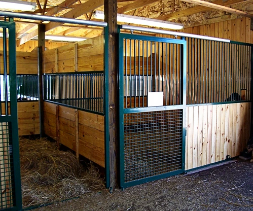Teal powder-coated stall fronts with natural pine lower panels, wire mesh doors and straw bedding visible