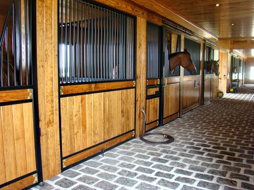 Black metal stall fronts with natural pine lower panels and chestnut horse extending head in dimly lit barn