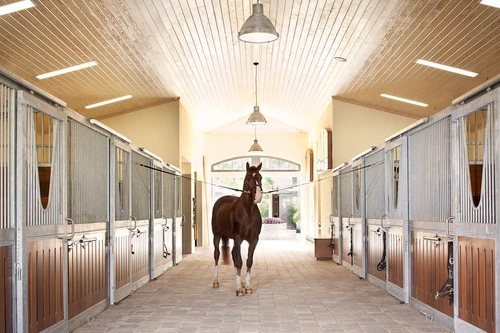Cream painted barn aisle with natural wood and metal stall fronts, bay horse being led down center