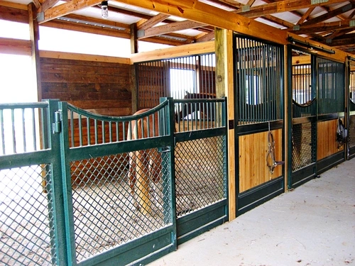 Teal powder-coated stall fronts with natural wood lower panels and wire mesh doors in bright barn aisle