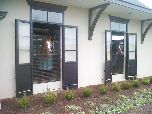 Dark gray double doors with upper glass panels and mesh lower sections on white stucco with landscaping