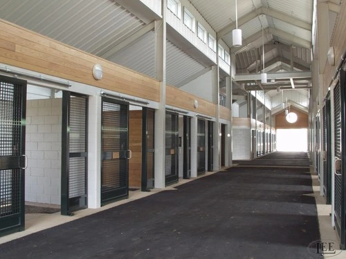 Modern barn aisle with black framed stalls featuring wire mesh panels and industrial ceiling