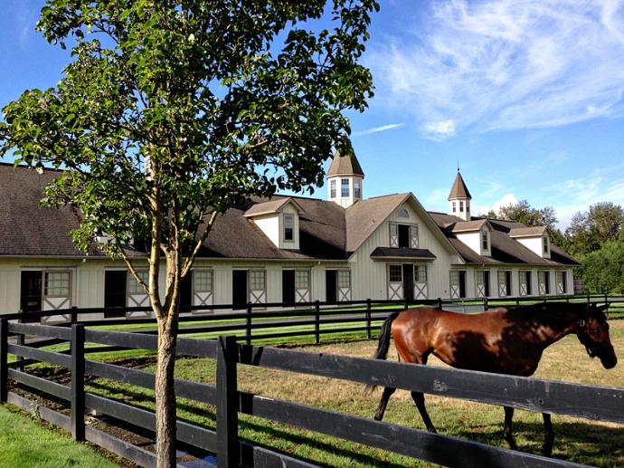 White barn with dark roof, cupolas and brown horse grazing in paddock with black fencing