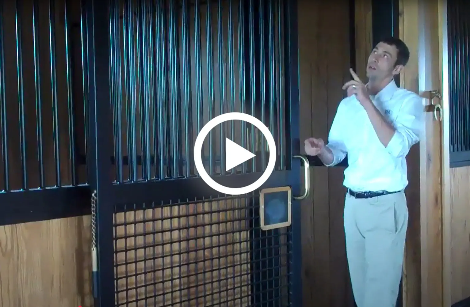 Lucas Equine Video Gallery